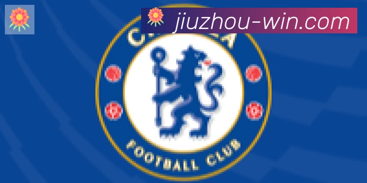 九州体育合作伙伴
